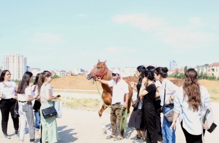 “Davam” Gənclər Hərəkatı “Qarabağ atları” layihəsinə start verib “Davam” Gənclər Hərəkatı “Qarabağ atları” layihəsinə start verib