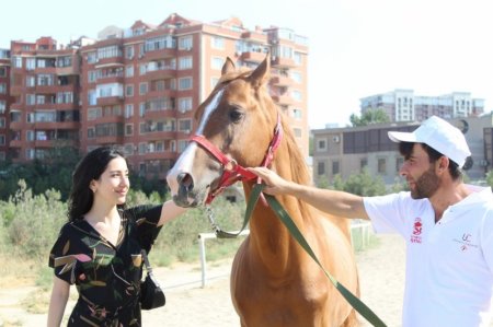 “Davam” Gənclər Hərəkatı “Qarabağ atları” layihəsinə start verib “Davam” Gənclər Hərəkatı “Qarabağ atları” layihəsinə start verib