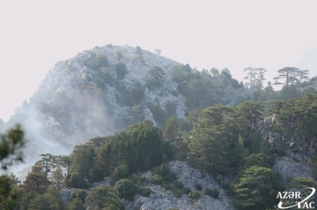 Muğla şəhərinin Sazak kəndində meşə yanğıları davam edir