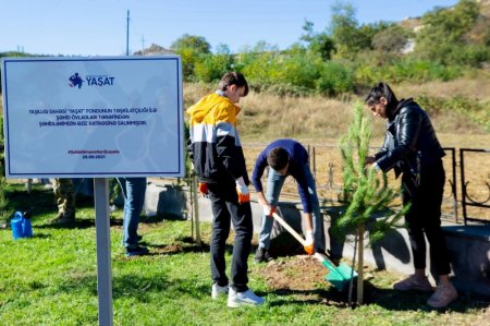 Şəhid övladları Şuşa şəhərində ağacəkmə aksiyasında iştirak ediblər Şəhid övladları Şuşa şəhərində ağacəkmə aksiyasında iştirak ediblər
