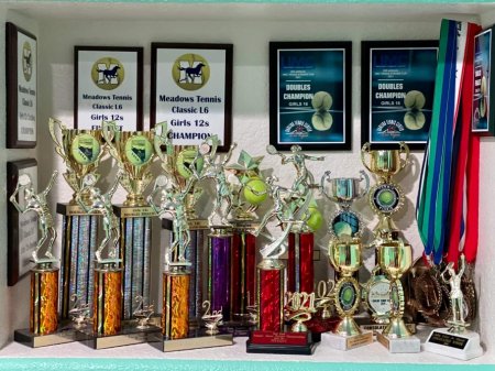 ABŞ-da yaşayan azərbaycanlı əkiz bacılar tennis yarışının qalibi olublar ABŞ-da yaşayan azərbaycanlı əkiz bacılar tennis yarışının qalibi olublar