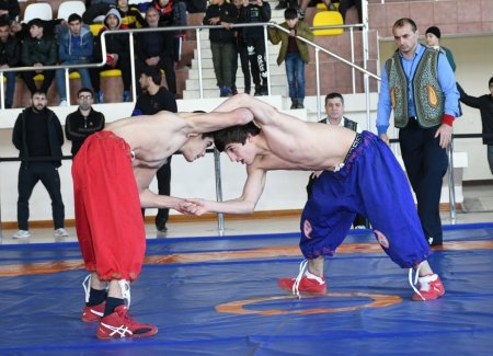 Milli güləş, kəmər güləşi üzrə ölkə birincilikləri və çempionatı keçirilib
