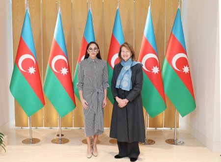 Azərbaycan Respublikasının Birinci vitse-prezidenti Mehriban Əliyeva Böyük Britaniyanın Baş nazirinin Azərbaycan üzrə ticarət elçisi Baronessa Emma Nikolson ilə görüşüb
