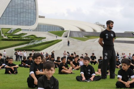 Vinq çun üzrə növbəti seminar keçirilib