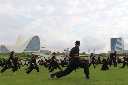 Vinq çun üzrə növbəti seminar keçirilib
