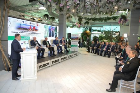 BP “Yaşıl iqtisadiyyat” və ekoloji imperativlərə dair beynəlxalq konfransa dəstək olub BP “Yaşıl iqtisadiyyat” və ekoloji imperativlərə dair beynəlxalq konfransa dəstək olub