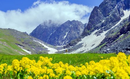 SÜBHAN KAMALOĞLU: YAŞA,SƏN YAŞA - FOTO