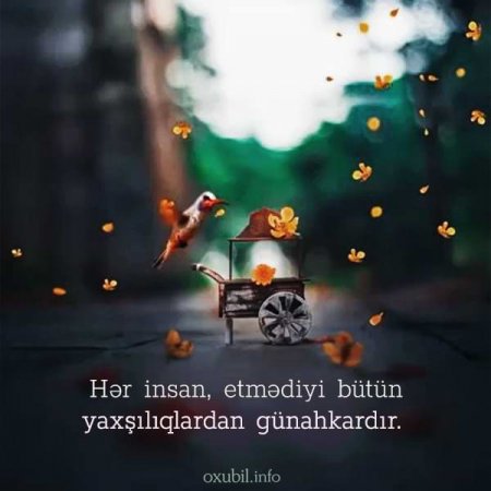 DÜNYA : Müəllif : Günel TürkSoy - FOTO DÜNYA : Müəllif : Günel TürkSoy - FOTO