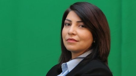 ANS-çilər Natəvanın vəfatından yazdı - FOTO