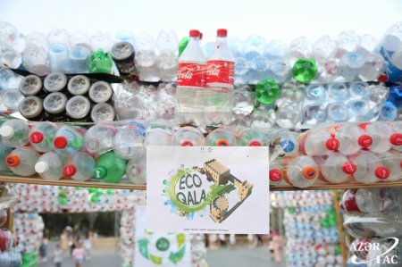Beynəlxalq Gənclər Gününə həsr olunmuş “ECOFEST” layihəsi uğurla başa çatıb - FOTOLAR