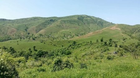 NƏ GECƏLƏR BİTİR, NƏ NAĞIL BİTİR - FOTO