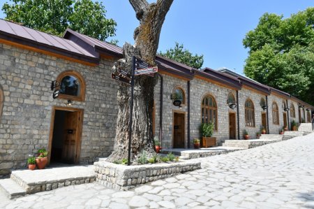 Daşdəmir Əjdəroğlu: Xeyirxah basqallılar - FOTOLAR
