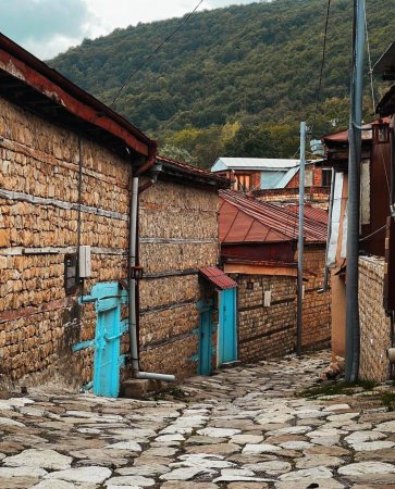 Daşdəmir Əjdəroğlu: Xeyirxah basqallılar - FOTOLAR