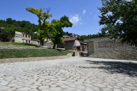 Daşdəmir Əjdəroğlu: Xeyirxah basqallılar - FOTOLAR