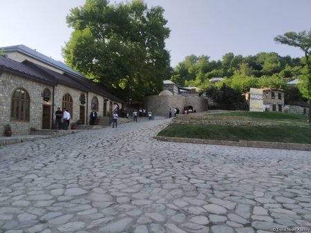 Daşdəmir Əjdəroğlu: Xeyirxah basqallılar - FOTOLAR