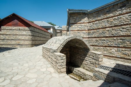Daşdəmir Əjdəroğlu: Xeyirxah basqallılar - FOTOLAR
