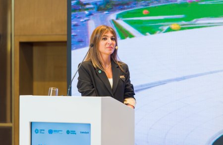 COP29 ərəfəsində media üçün effektiv kommunikasiya strategiyaları mövzusunda seminar təşkil edilib - FOTO COP29 ərəfəsində media üçün effektiv kommunikasiya strategiyaları mövzusunda seminar təşkil edilib - FOTO