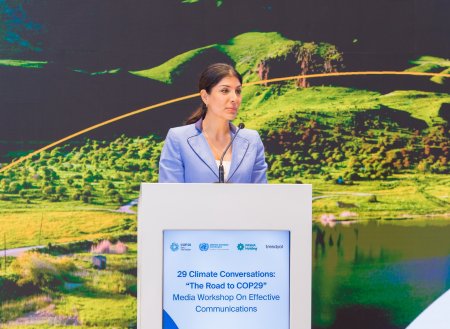 COP29 ərəfəsində media üçün effektiv kommunikasiya strategiyaları mövzusunda seminar təşkil edilib - FOTO COP29 ərəfəsində media üçün effektiv kommunikasiya strategiyaları mövzusunda seminar təşkil edilib - FOTO