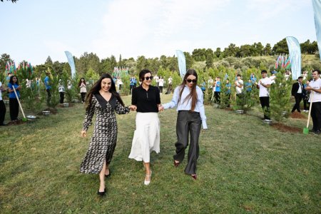 Bakının “Gənclik” parkında ağacəkmə aksiyası keçirilib - FOTOLAR