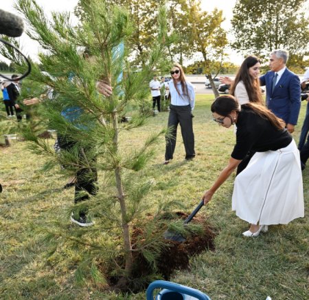 Bakının “Gənclik” parkında ağacəkmə aksiyası keçirilib - FOTOLAR