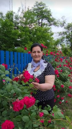 YARADICI İNSANDA BƏDİİ TƏSVİR, RUHUN AYNASIDIR...-FOTO YARADICI İNSANDA BƏDİİ TƏSVİR, RUHUN AYNASIDIR...-FOTO