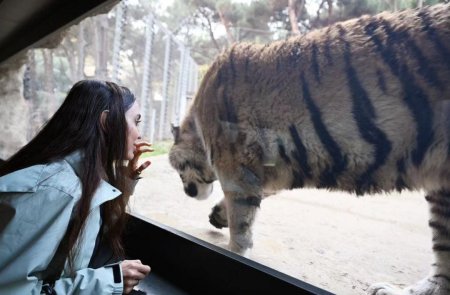 Leyla Əliyeva Bakı zooparkından paylaşım etdi - Fotolar Leyla Əliyeva Bakı zooparkından paylaşım etdi - Fotolar