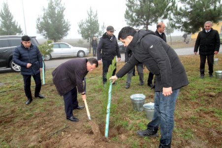 Qazaxda “Yaşıl dünya naminə həmrəylik ili” ilə əlaqədar ağacəkmə aksiyası keçirilib - FOTOLAR Qazaxda “Yaşıl dünya naminə həmrəylik ili” ilə əlaqədar ağacəkmə aksiyası keçirilib - FOTOLAR