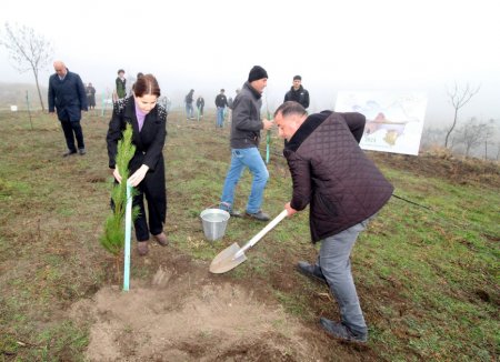 Qazaxda “Yaşıl dünya naminə həmrəylik ili” ilə əlaqədar ağacəkmə aksiyası keçirilib - FOTOLAR Qazaxda “Yaşıl dünya naminə həmrəylik ili” ilə əlaqədar ağacəkmə aksiyası keçirilib - FOTOLAR