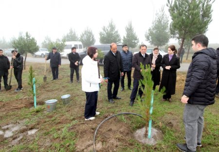 Qazaxda “Yaşıl dünya naminə həmrəylik ili” ilə əlaqədar ağacəkmə aksiyası keçirilib - FOTOLAR Qazaxda “Yaşıl dünya naminə həmrəylik ili” ilə əlaqədar ağacəkmə aksiyası keçirilib - FOTOLAR