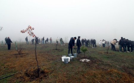 Qazaxda “Yaşıl dünya naminə həmrəylik ili” ilə əlaqədar ağacəkmə aksiyası keçirilib - FOTOLAR Qazaxda “Yaşıl dünya naminə həmrəylik ili” ilə əlaqədar ağacəkmə aksiyası keçirilib - FOTOLAR