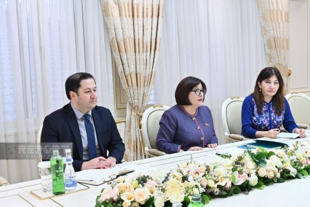 Sahibə Qafarova: Azərbaycan türk dünyasının güclənməsinə xüsusi önəm verir Sahibə Qafarova: Azərbaycan türk dünyasının güclənməsinə xüsusi önəm verir
