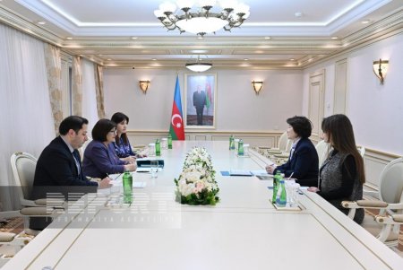 Sahibə Qafarova: Azərbaycan türk dünyasının güclənməsinə xüsusi önəm verir Sahibə Qafarova: Azərbaycan türk dünyasının güclənməsinə xüsusi önəm verir