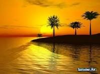 Məlahət Behbudqızı ✍️ : Darıxmaq ... - FOTO
