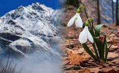 GÜVƏNDİYİM A DAĞLAR, SƏNƏ DƏ QAR YAĞARMIŞ - FOTO